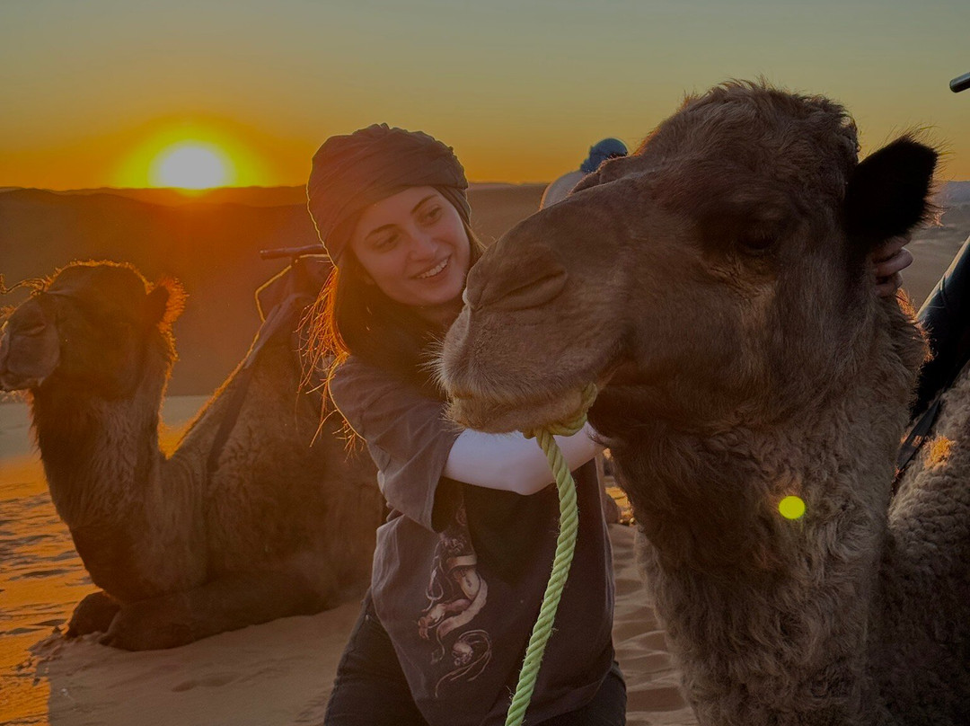 Desert Excursion Morocco-丹吉尔必去景点