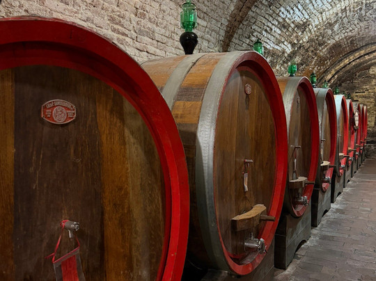 Azienda Agricola Ercolani-蒙特普尔恰诺必去景点