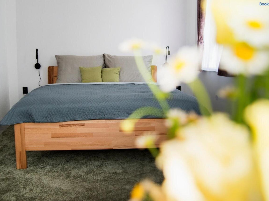 Apartmany Golias