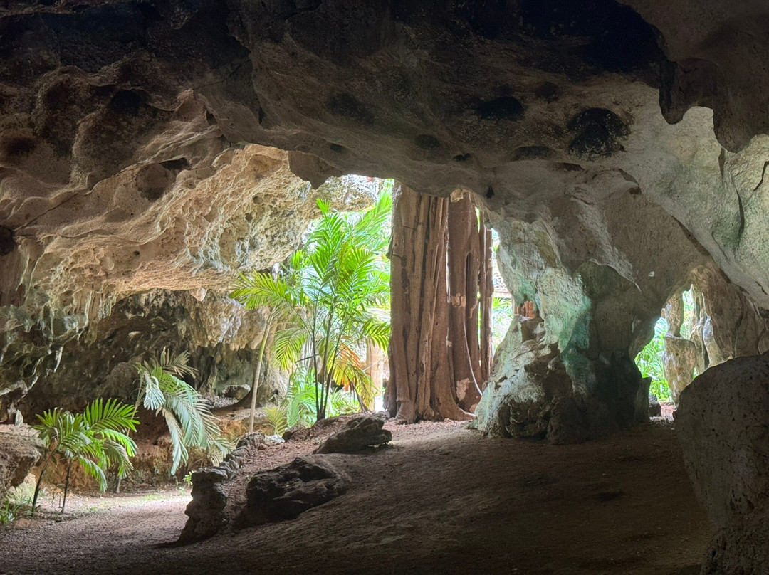 Cayman Crystal Caves-大开曼岛必去景点