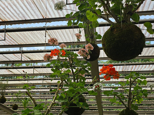 Rumah Atsiri Indonesia-Tawangmangu必去景点