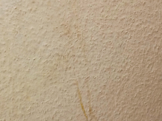 Seehotel Schorfheide主图