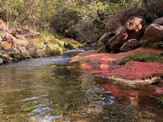 Bella Aventura Costa Rica-Santo Domingo de Heredia必去景点