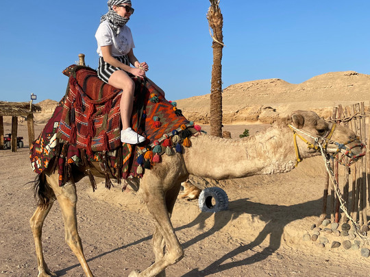 Chill Tours-Port Safaga必去景点