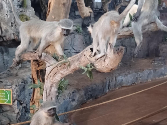 Interpretation Centre & Blyde Museum-Moremela必去景点