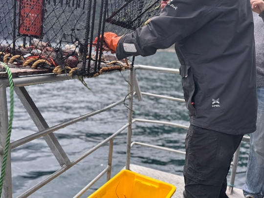 Fiordland Expeditions - Doubtful Sound Overnight Cruises & Multi Day Charters-马纳普里必去景点