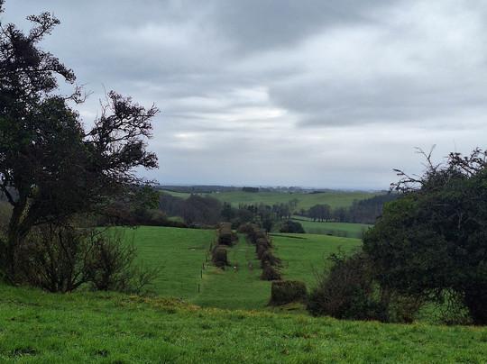 Hill of Uisneach-Killare必去景点