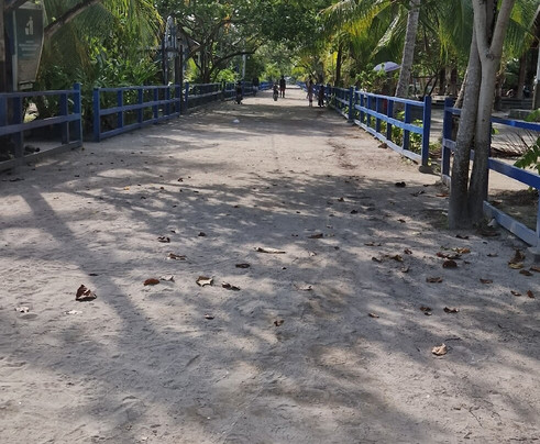 Dune Aurora Liveaboard-沙努尔必去景点