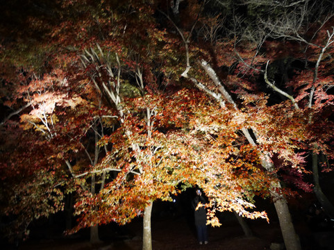 Kamado Shrine-太宰府市必去景点