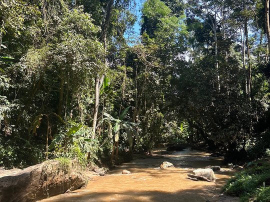 Chiang Mai Eco Trekking-清迈必去景点