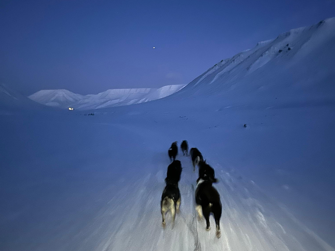 Green Dog Svalbard-朗伊尔城必去景点