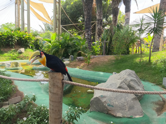 Parque Arvorar-Aquiraz必去景点