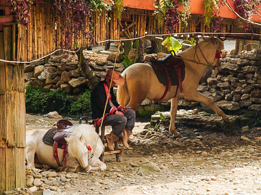 Cat Cat village-沙巴必去景点