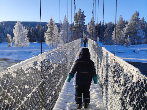 Openlappland-Amsele必去景点