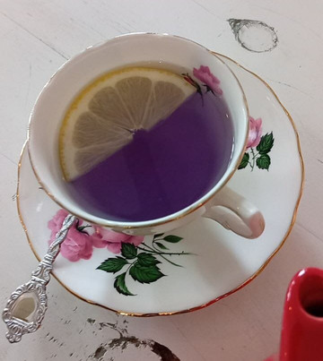 瓦纳卡薰衣草农场-瓦纳卡必去景点