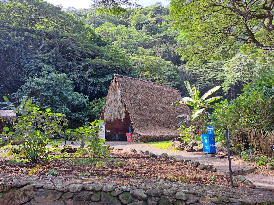 Waimea Falls-Pupukea必去景点