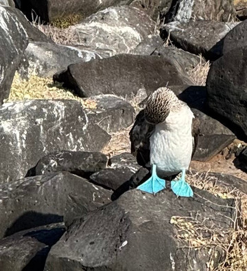 Surtrek-基多必去景点