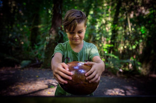 Sanctuary Mountain Maungatautari-Pukeatua必去景点