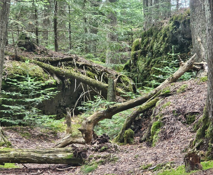 Bush Bay Trail Narnia Trail-Cedarville必去景点