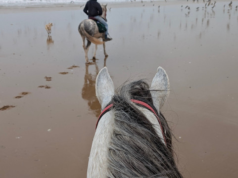Ranch de Diabat-索维拉必去景点