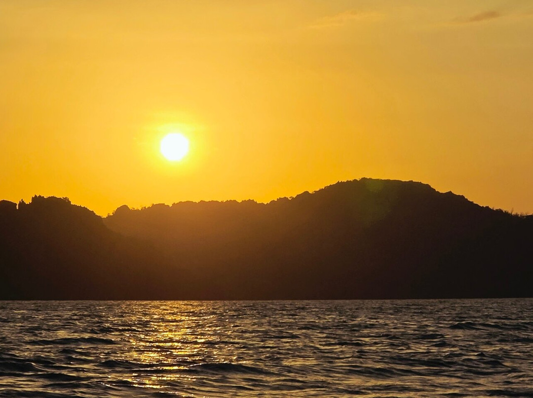 Langkawi Mangrove Night Safari-兰卡威必去景点