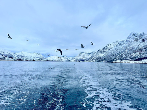 Go2Lofoten-斯沃尔韦尔必去景点