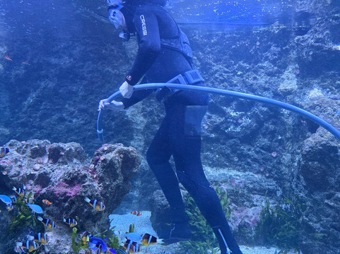 Bioparc Fuengirola-福恩吉罗拉必去景点