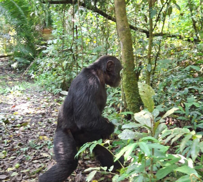 Roadtrip Africa-坎帕拉必去景点