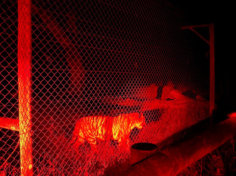 Jukani Wildlife Sanctuary-The Crags必去景点