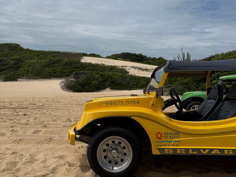 Netinho Buggy e Turismo-Genipabu必去景点