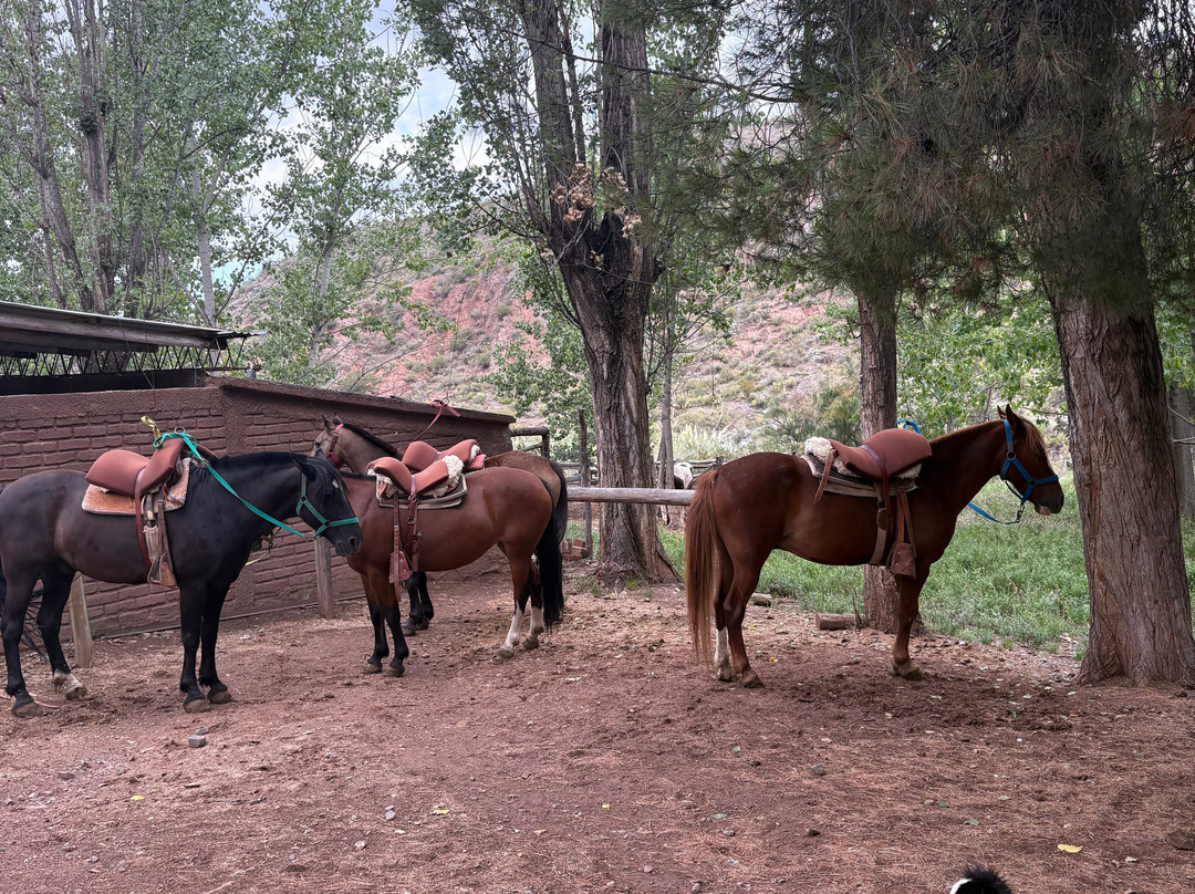 San Ignacio Estancia Andina主图