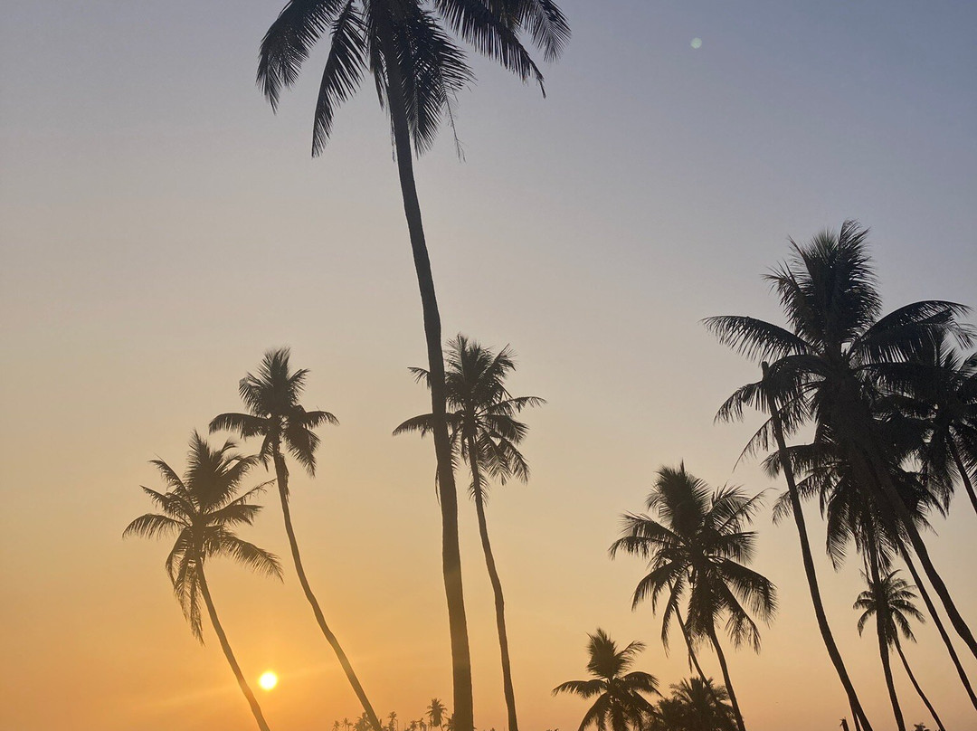 Your Salalah Tour-塞拉莱必去景点