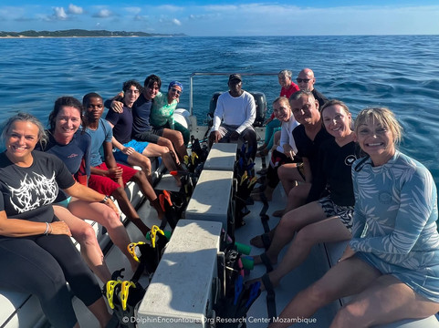 Dolphin Encountours Research Center-Ponta do Ouro必去景点