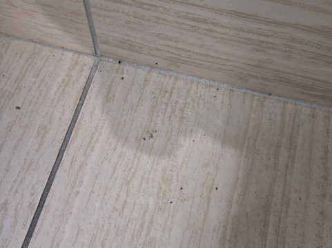 帕迪尤卡I-24 4号出口温德姆速8酒店主图