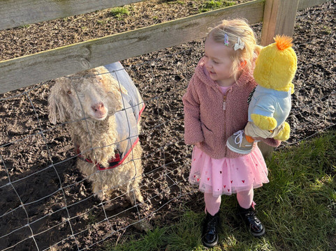 The Bucks Goat Centre-艾尔斯伯里必去景点