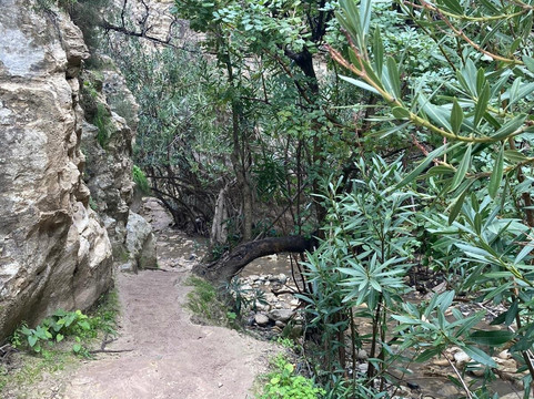 Avakas Gorge-帕福斯必去景点