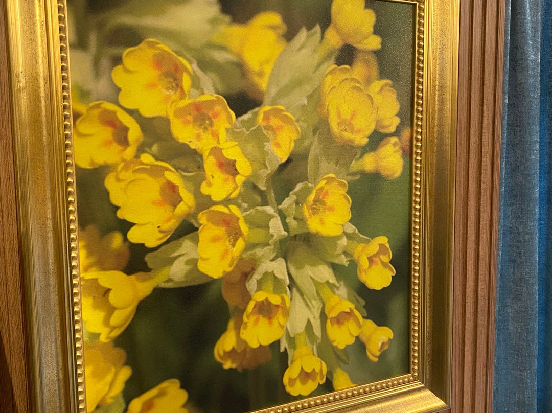 Floara Di Munte Forest Luxury Suites