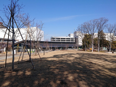 Tama Central Park-多摩市必去景点