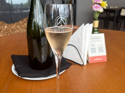 Vinícola Foppa & Ambrosi-Garibaldi必去景点