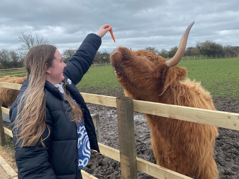 Highland Cow Cottage-Royston必去景点