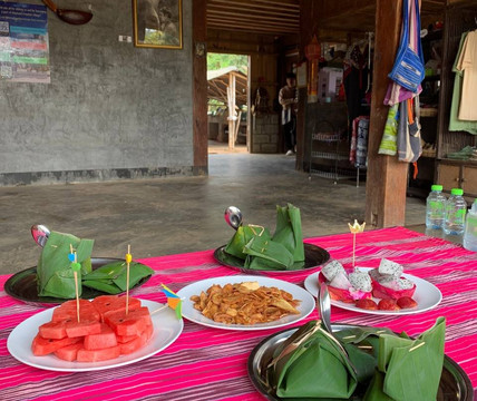Elephant Freedom Village-清迈必去景点