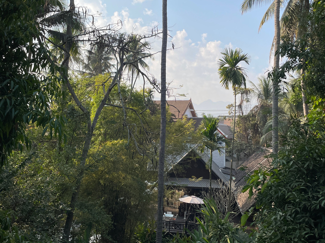 帕拉索尔布莱克酒店主图