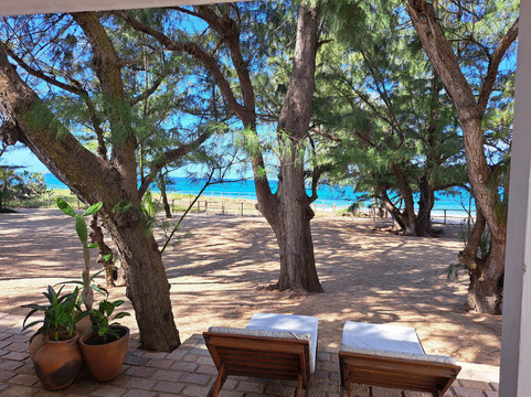 Liquid Dive Adventures-托佛必去景点