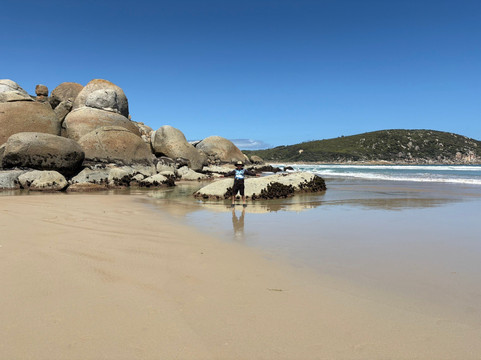 Whisky Beach-威尔逊岬国家公园必去景点