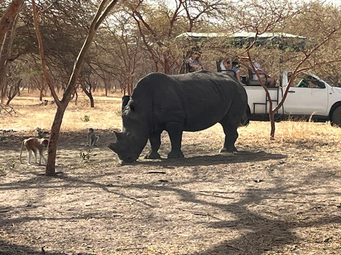 Max Sakho Chauffeur Guide-Saly必去景点