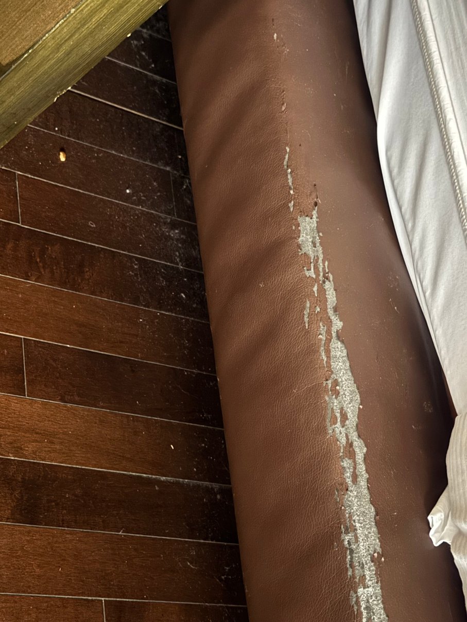 克里夫兰都铎纹章酒店-希尔顿逸林酒店-客卧