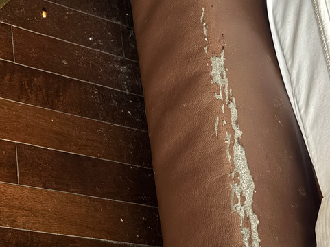 克里夫兰都铎纹章酒店-希尔顿逸林酒店主图