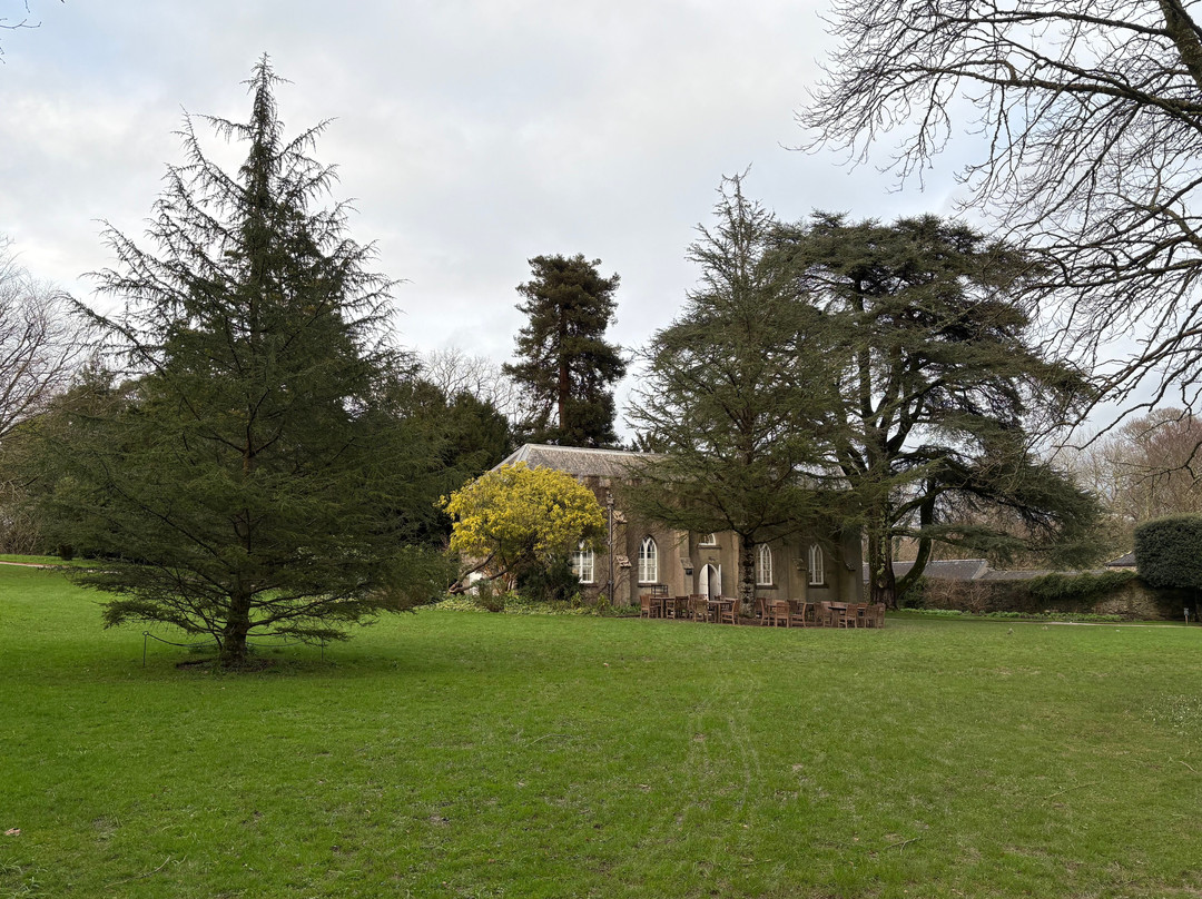 Saltram (National Trust)-普利茅斯必去景点