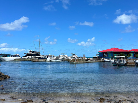 Blue Runner Charters And Boat Rentals-Spanish Town必去景点