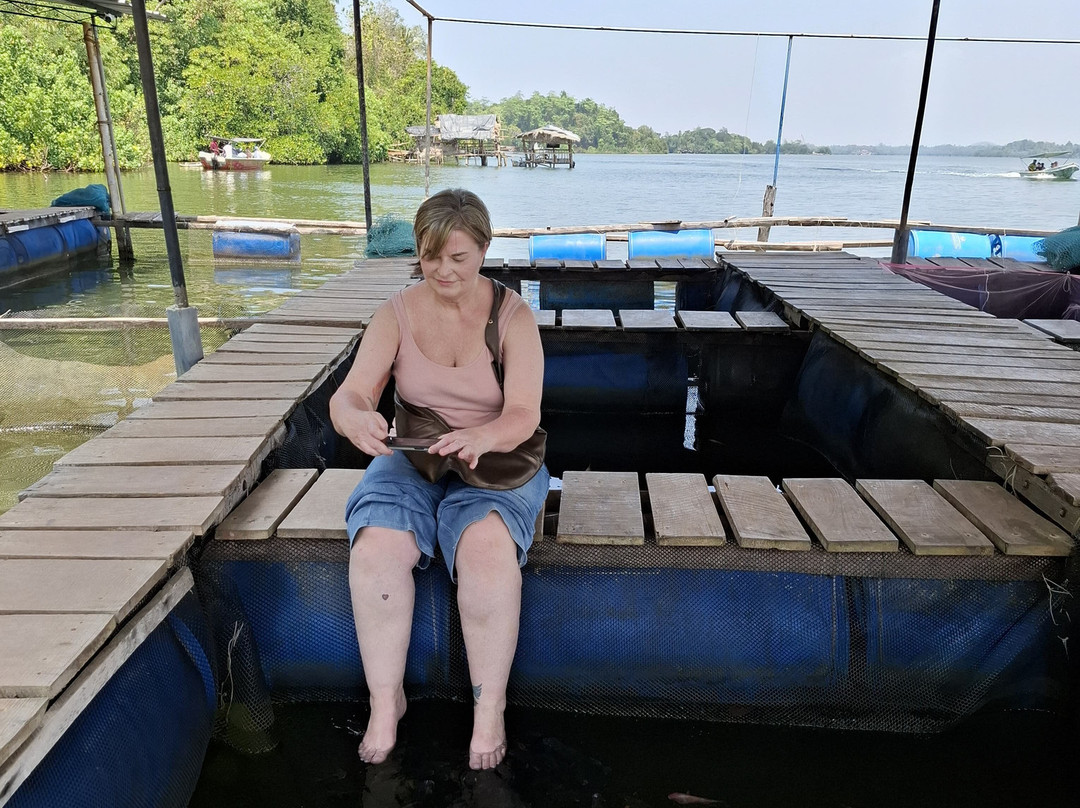 Madu River Safari-巴拉碧提雅必去景点